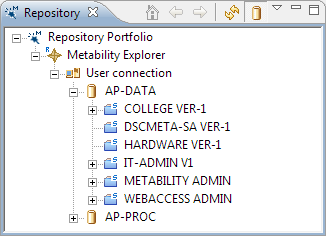 This image shows the Repository Portfolio tree.