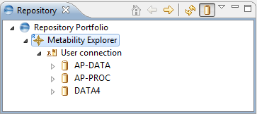 This image shows the Metability Explorer repository tree.