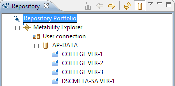 This image shows the expanded the Metability Explorer node.