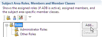 This image shows the Subject Area Roles, Members and Member Classes panel.